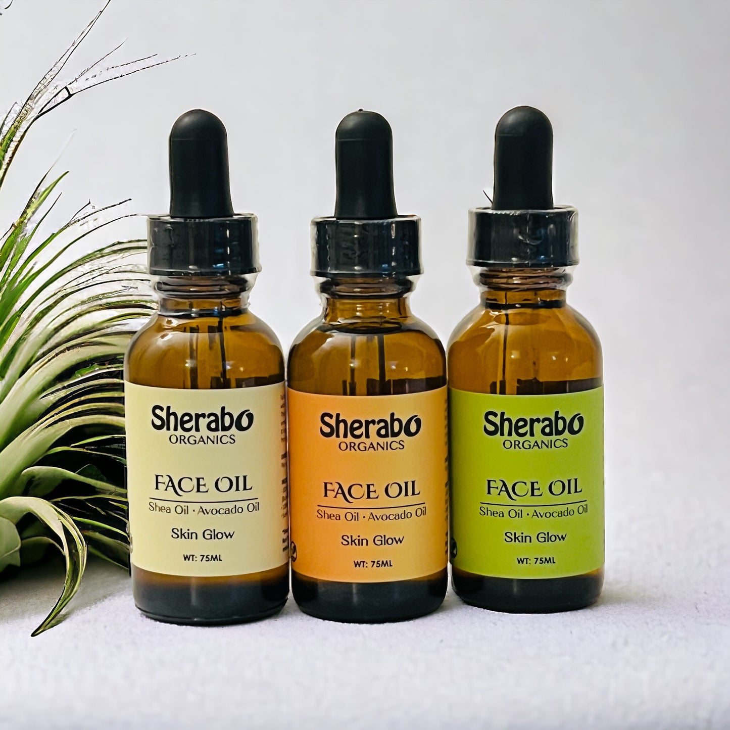 Mixed Bundle- Skin Glow Face Oils (Value Bundles)