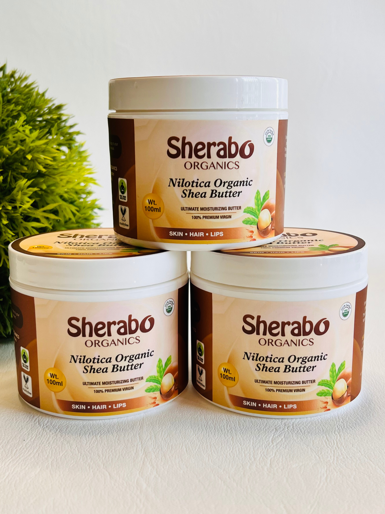 Value Bundle-Therapeutic Nilotica Raw Shea Butter - Sherabo Organics Inc.